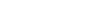 light logo